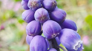 Thumbnail of post image 154